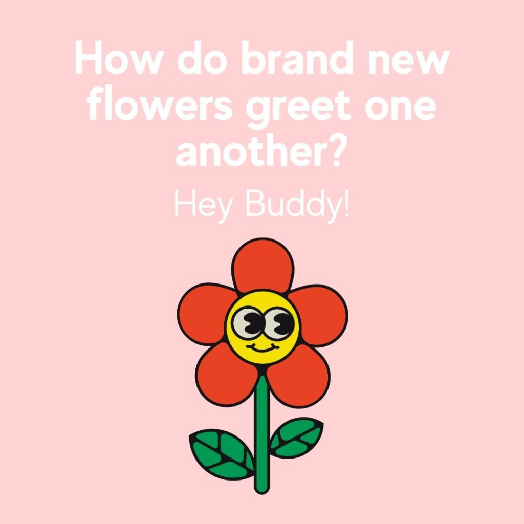 Spring pun about flowers 