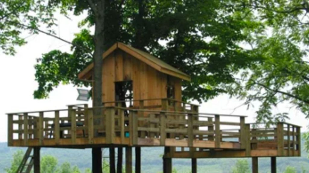 Outdoor Life A Frame Treehouse