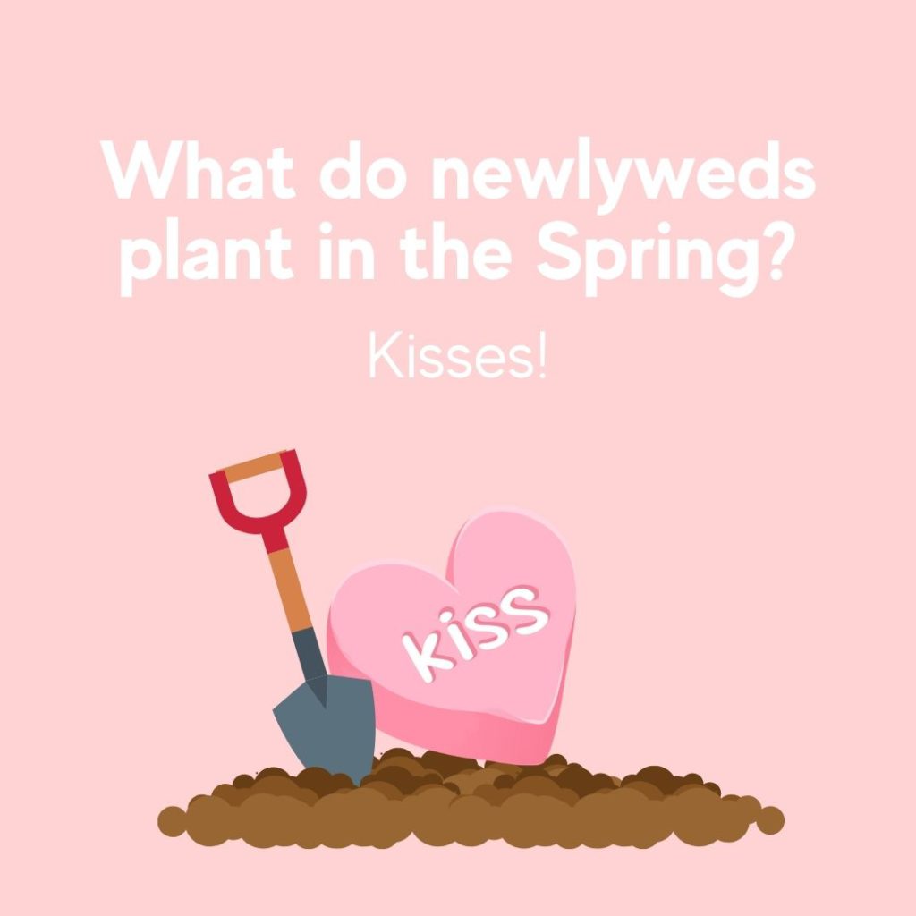 Spring pun about burying kisses