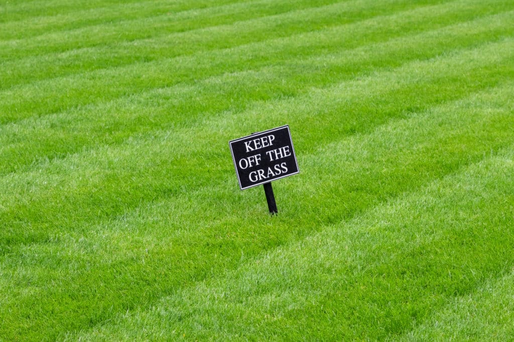 Keep,off,the,grass,sign,on,a,rolled,cut,lawn