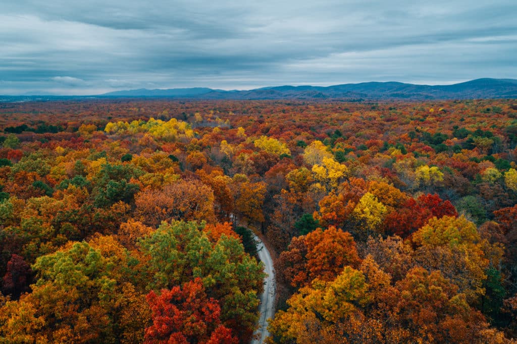 View,of,a,road,and,autumn,color,at,big,levels,