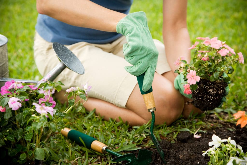 Cropped,image,of,woman,gardening