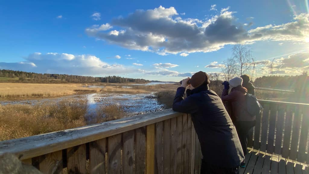 People,birdwatching,with,binoculars,in,a,tower