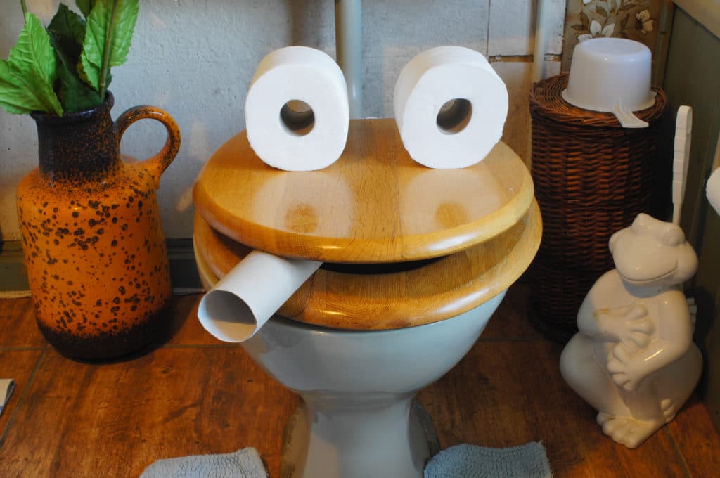 Funny,face,created,from,a,wooden,toilet,seat,and,toilet