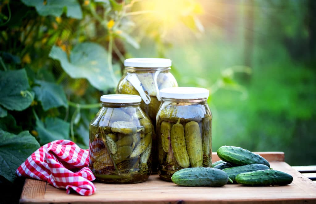 Pickled Cucumbers For Winter Organic Food