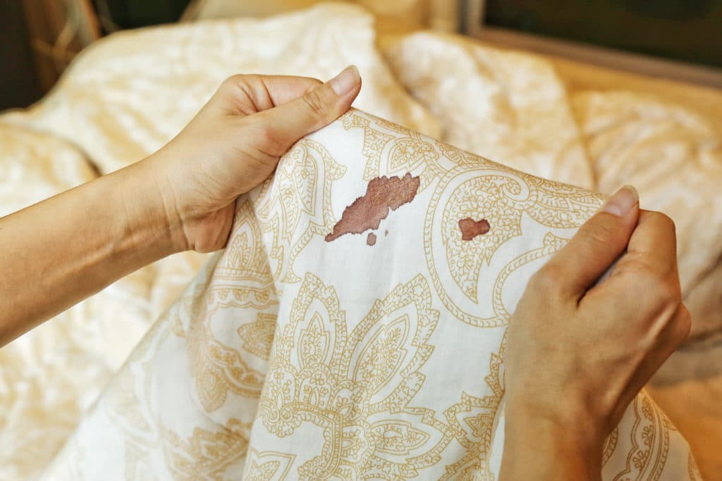 Women's Hands Hold Bed Sheet With Period Blood Spot Stains