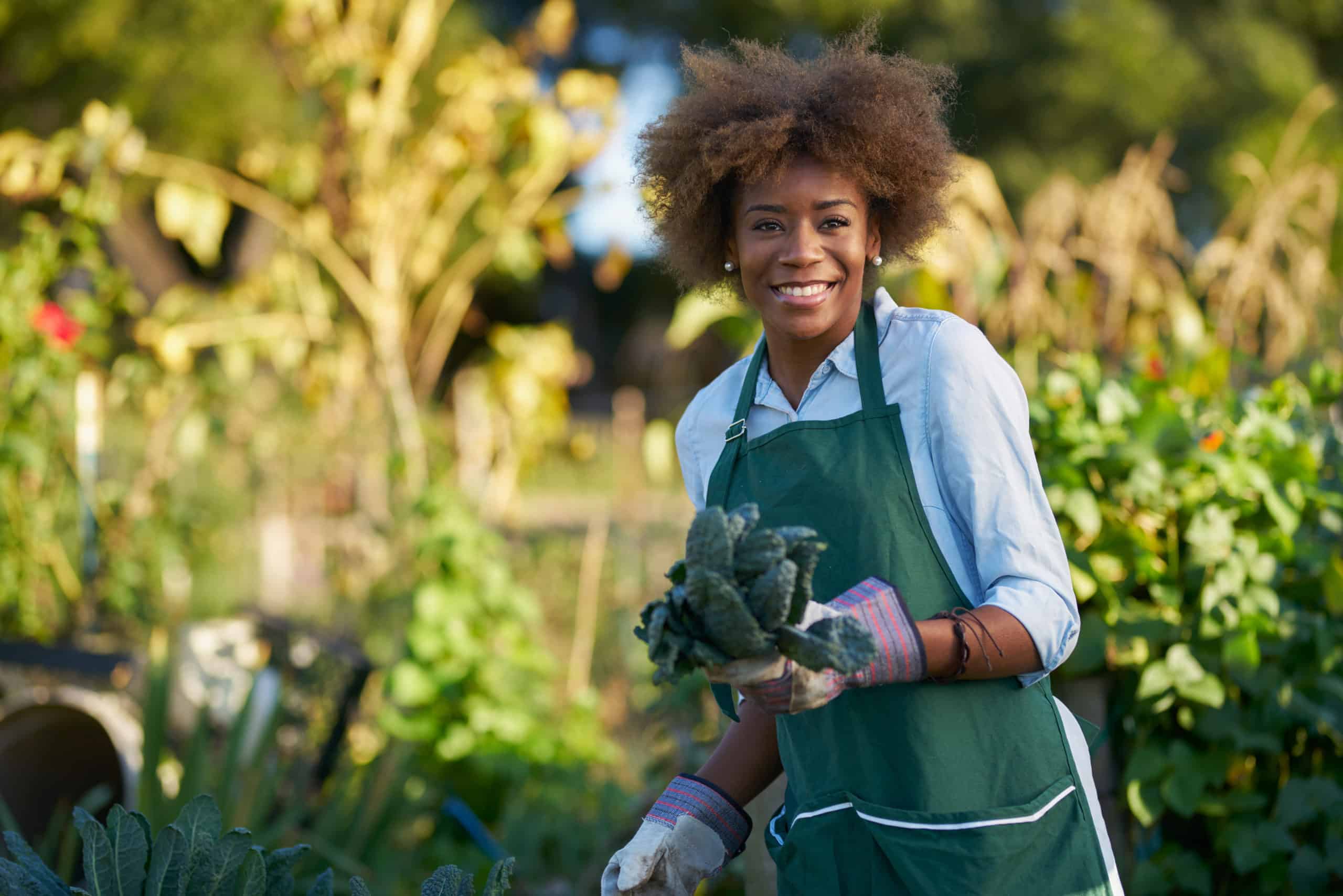 African American Woman Holding Freshly Picked Kale From Comnunal Community