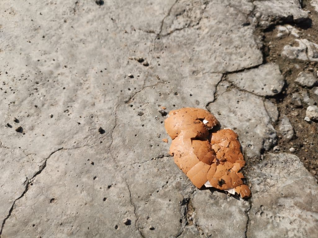A Cracked Egg Shell On A Rough Cracked Concrete Surface