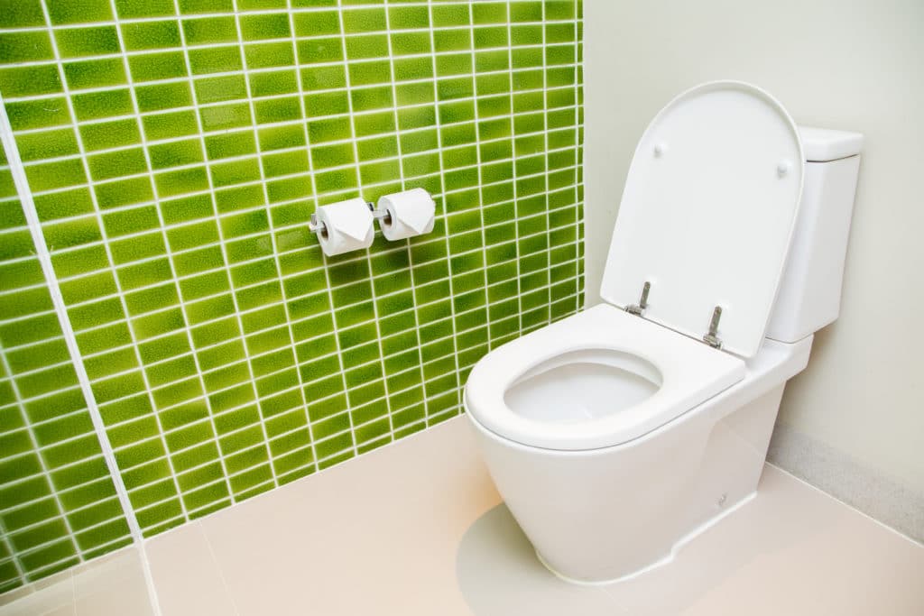 Clean White Toilet And Paper Rolls With Lime Green Mosaic