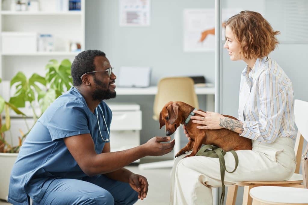 Happy Young Pet Owner Consulting With African American Male Veterinarian In