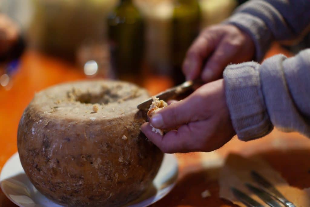 Famous Casu Marzu Or Casu Martzu Cheese With Worms From