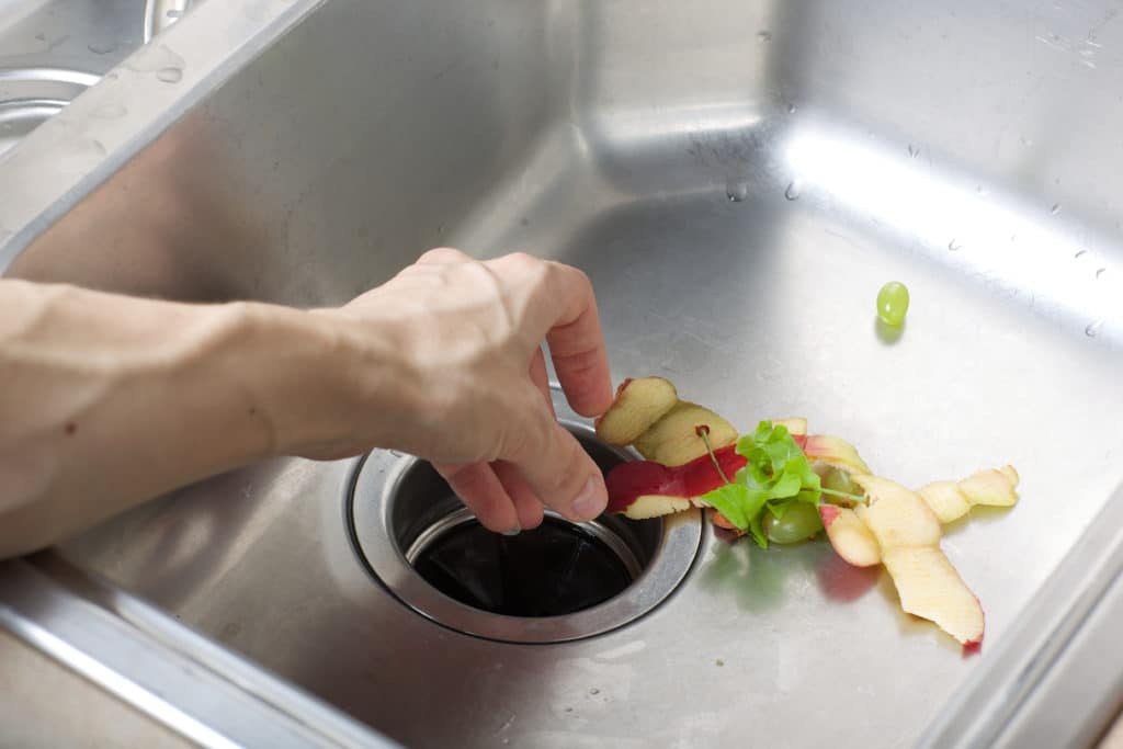 Food Waste Left In A Sink. Closeup
