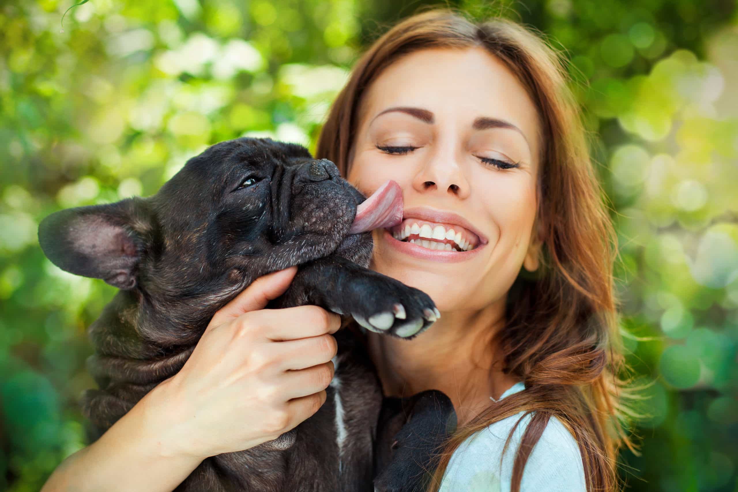 Happy Woman With French Bulldog