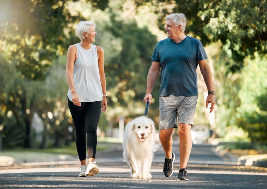 Retirement Fitness And Walking With Dog And Couple In Neighborhood