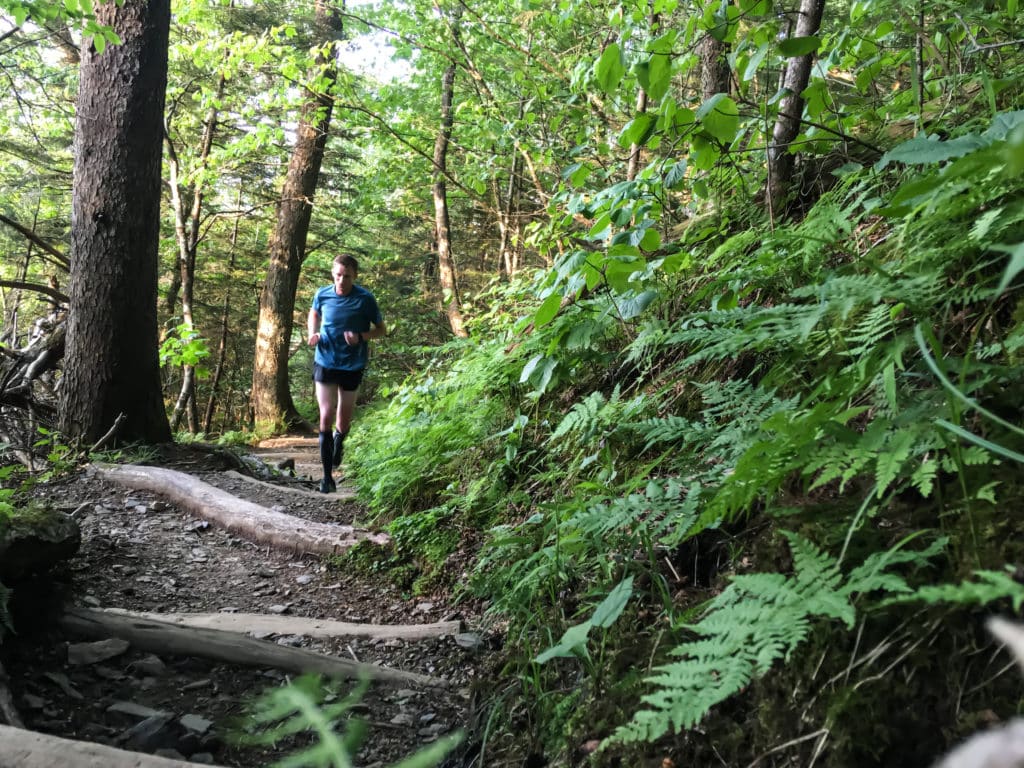 Man Runs Through Lush Green Forest On The Appalachian Trail 